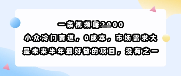 一条视频挣1k，小众冷门赛道，0成本，市场需求大，是未来半年最好做的项目，没有之一-快名资源网