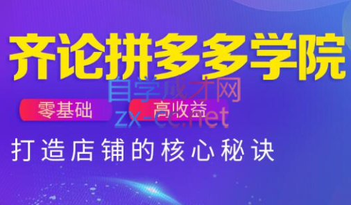 齐论拼多多vip课程-快名资源网