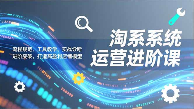 淘系系统运营进阶课2.0，流程规范、工具教学、实战诊断，进阶突破，打造高盈利店铺模型-快名资源网