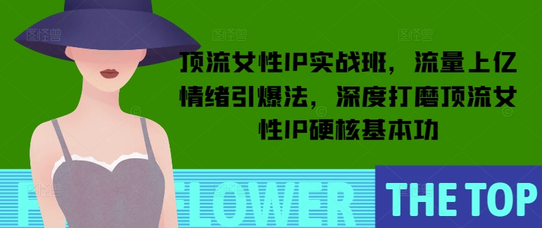 顶流女性IP实战班，流量上亿情绪引爆法，深度打磨顶流女性IP硬核基本功-快名资源网