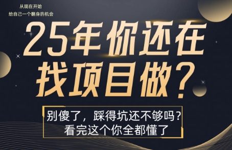 25年，你还在疯狂的找项目吗？别傻了，看完这个你都懂了【揭秘】-快名资源网