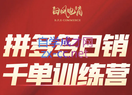 白凤电商·拼多多日销千单训练营(更新3月)-快名资源网