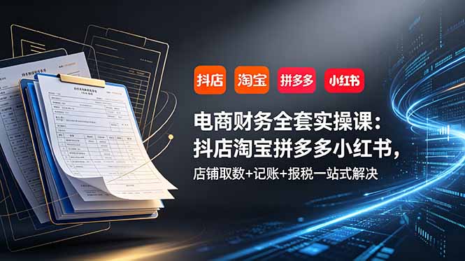 电商财务全套实操课：抖店淘宝拼多多小红书，店铺取数+记账+报税一站式解决-快名资源网