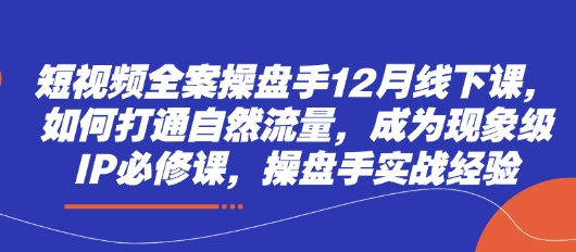 短视频全案操盘手12月线下课，如何打通自然流量，成为现象级IP必修课，操盘手实战经验-快名资源网
