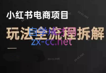 菲菲老师·小红书电商玩法(更新9月)-快名资源网