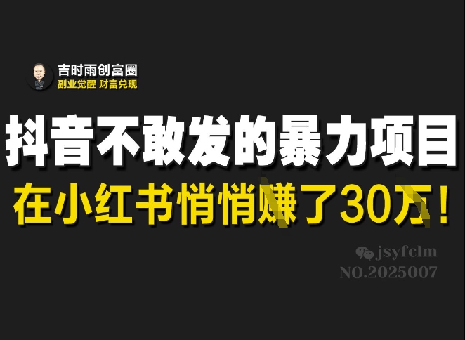 抖音不敢发的暴利项目，在小红书悄悄挣了30W-快名资源网