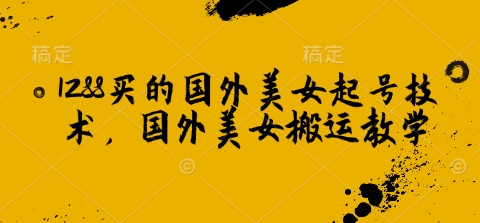 1288买的国外美女起号技术，国外美女搬运教学-快名资源网
