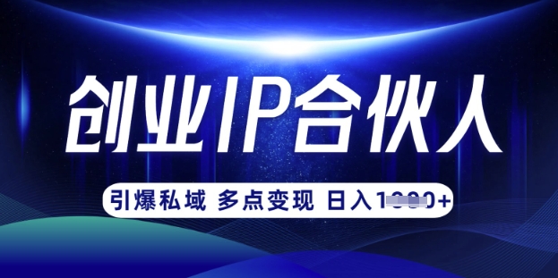 云帆·创业ip合伙人打造3.0，从0到1教你做网创，实现月入过W-快名资源网