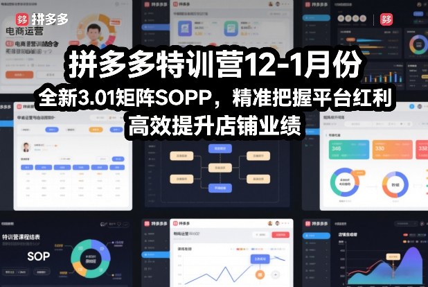 拼多多特训营12-1月份，全新3.01矩阵Sop，精准把握平台红利，高效提升店铺业绩-快名资源网