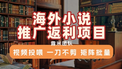 海外小说推广返利项目，视频投喂， 一刀不剪，矩阵批量-快名资源网