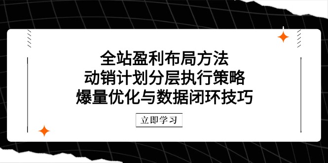 全站盈利布局方法：动销计划分层执行策略，爆量优化与数据闭环技巧-快名资源网