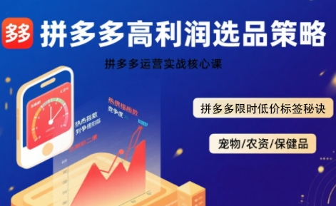 拼多多选品暴利技术实战课，拼多多高利润选品策略，拼多多限时低价标签秘诀-快名资源网