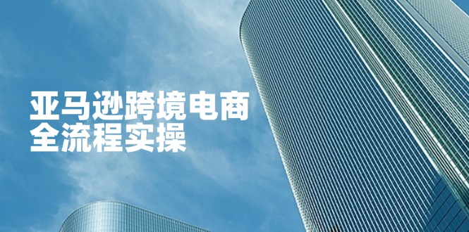 亚马逊跨境电商全流程实操，教你从零开始，掌握店铺运营与广告技巧-快名资源网