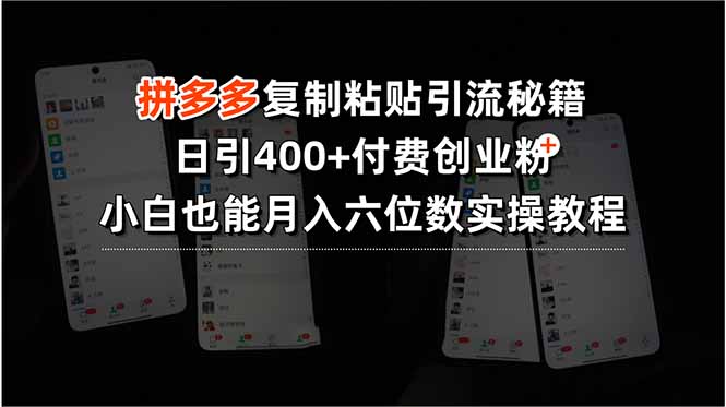 拼多多复制粘贴引流秘籍，日引400+付费创业粉，小白也能月入六位数实操...-快名资源网