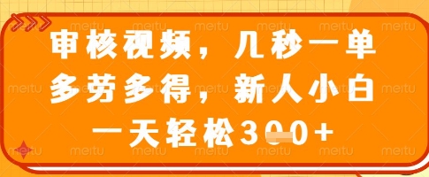 审核视频，几秒一单，多劳多得，新人小白一天轻松3张【揭秘】-快名资源网