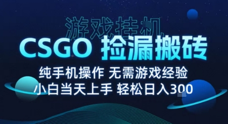 8月最新游戏搬砖，CSGO纯挂G，不需要玩游戏，实现真挂G，月入1W+【揭秘】-快名资源网