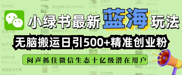 小绿书无脑搬运引流，全自动日引500精准创业粉，微信生态内又一个闷声发财的机会-快名资源网