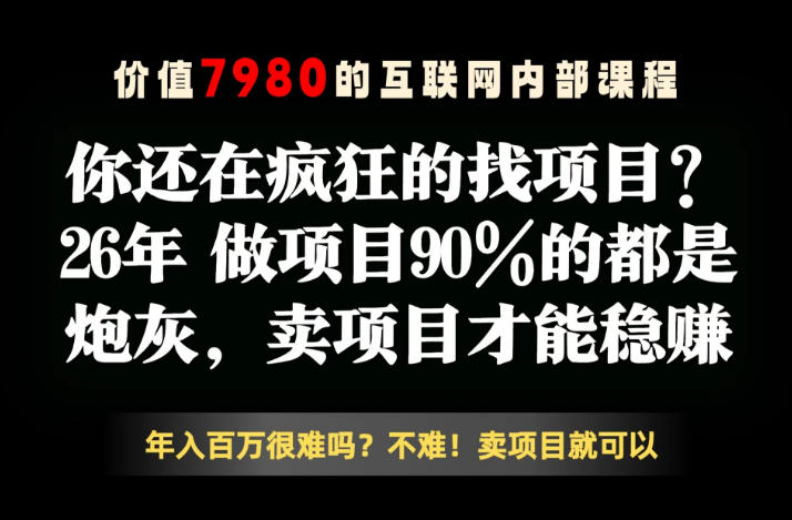 26年请不要疯狂的找项目了，卖项目远比你想象的暴利，你也可以月入10W+【揭秘】-快名资源网