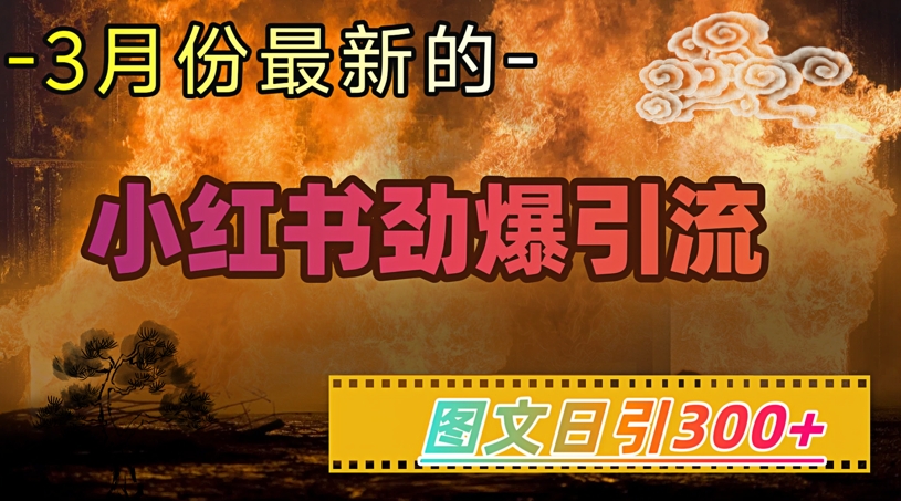 小红书超劲爆引流手段，图文日引300+轻松变现1W-快名资源网