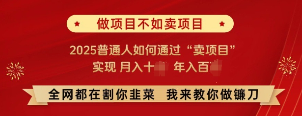 必看，做项目不如卖项目，2025普通人如何通过“卖项目”实现月入十个，年入百个-快名资源网
