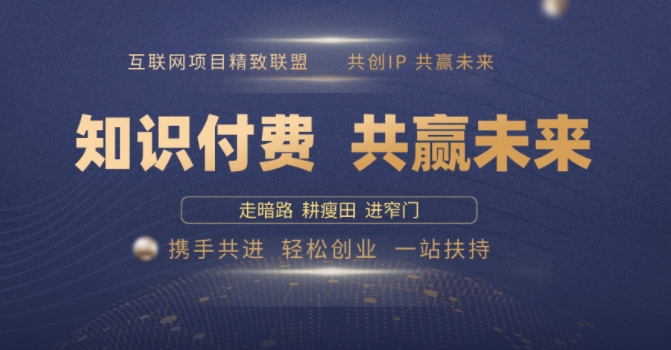 别人苦寻无果，为何他们靠知识付费卖项目 2025 年轻松年入100个?【揭秘】-快名资源网