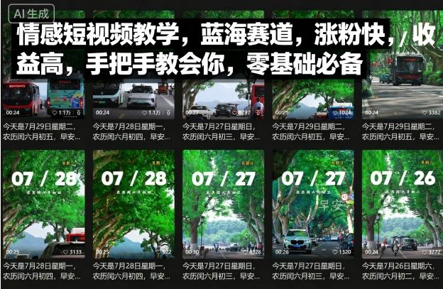 情感短视频教学，蓝海赛道，涨粉快，收益高，手把手教会你，零基础必备-快名资源网