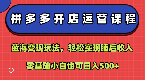 拼多多开店运营课程：蓝海变现玩法，轻松实现睡后收入，零基础小白也可日入5张-快名资源网