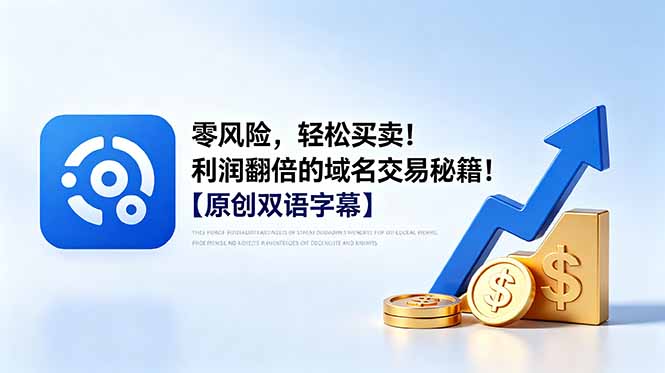 零风险，轻松买卖！利润翻倍的域名交易秘籍！【原创双语字幕】-青虫资源网