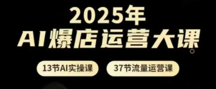 2025年AI爆店运营大课，13节AI实操课+37节流量运营课-快名资源网