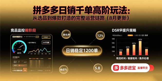 拼多多日销千单高阶玩法：从选品到爆款打造的完整运营链路(8月更新-快名资源网