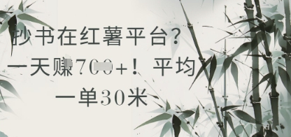 抄书在小红薯平台？平均一单30米，一天收益几张！-快名资源网