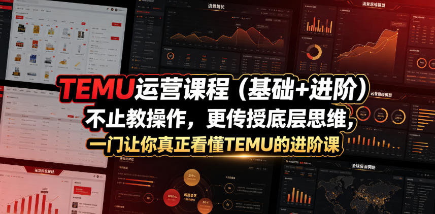 TEMU运营课程(基础+进阶)，不止教操作，更传授底层思维，一门让你真正看懂TEMU的进阶课-青虫资源网