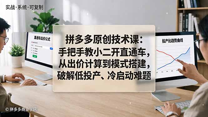 拼多多原创技术课：手把手教小二开直通车，从出价计算到模式搭建，破解低投产、冷启动难题-快名资源网