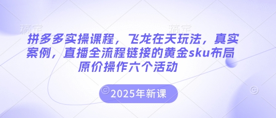 拼多多实操课程，飞龙在天玩法，真实案例，直播全流程链接的黄金sku布局原价操作六个活动-快名资源网