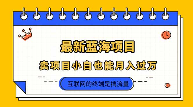 2025年最新蓝海项目，卖项目小白也能月入过万-快名资源网