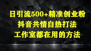 日引流500+精准创业粉，抖音共情自热打法，工作室都在用的方法-快名资源网