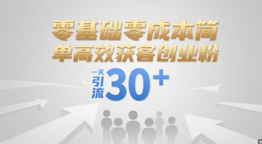 零基础零成本简单高效获客创业粉，一天引流30+-快名资源网