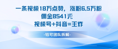 一条视频18W点赞，涨粉6.5W粉佣金8541米，视频号+抖音=王炸-快名资源网