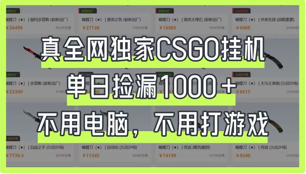 真全网独家CSGO挂机，单日捡漏1000+，不用电脑，不用养号-快名资源网