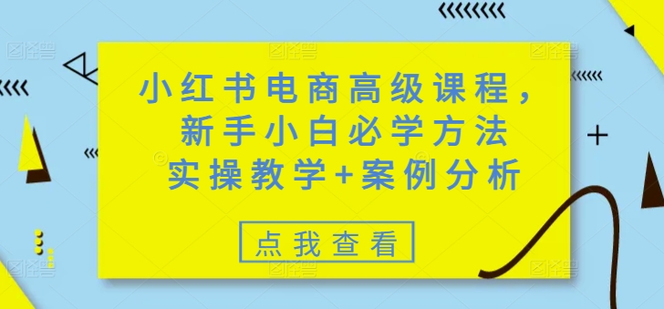 小红书电商高级课程，新手小白必学方法，实操教学+案例分析-快名资源网