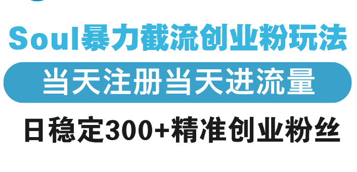 Soul暴力截流创业粉玩法，当天注册当天进流量，日稳定300+精准创业粉丝-快名资源网