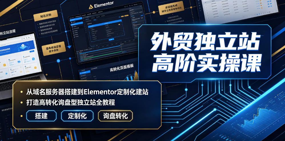 外贸独立站高阶实操课｜从域名服务器搭建到Elementor定制化建站，打造高转化询盘型独立站全教程-青虫资源网