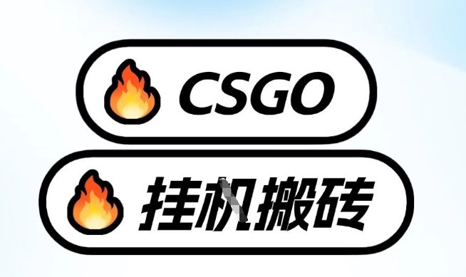 真全网独家CSGO挂G，最新玩法,单日捡漏1K+，不用电脑，不用打游戏【揭秘】-快名资源网