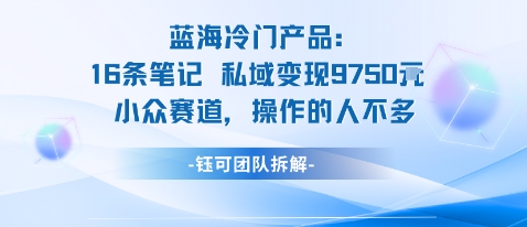蓝海项目：16条笔记私域变现9750米小众赛道操作的人不多-快名资源网