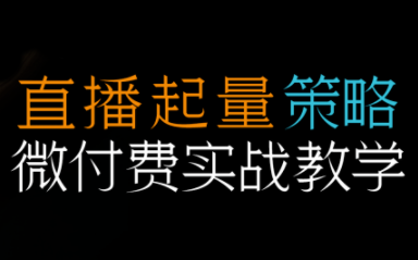半野老师·直播带货起量与微付费必学课视频号(更新2026)-快名资源网
