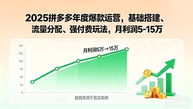 2025拼多多年度爆款运营，基础搭建、流量分配、强付费玩法，月利润5-15万-快名资源网