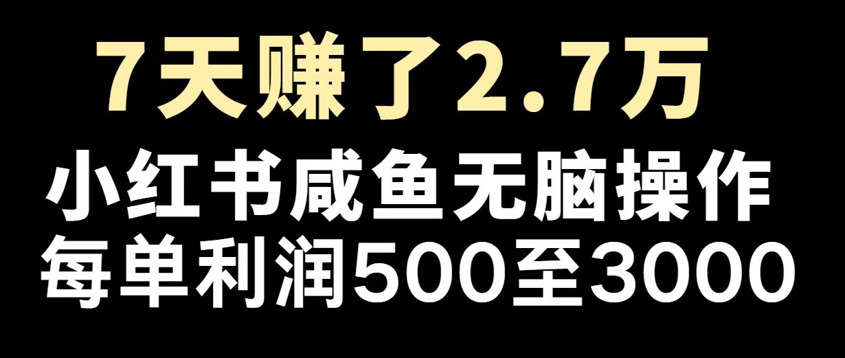 最赚钱项目之一，2025爆火，逆风翻盘！-快名资源网