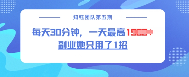 副业她只用了1招，每天30分钟，无脑二创，一天最高1.5k-快名资源网