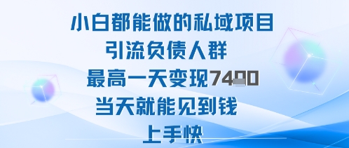 2025年小白都能做的私域项目引流负债人群最高一天变现1k+高变现难度低当天就能见到钱上手快-快名资源网