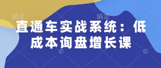 直通车实战系统：低成本询盘增长课，让个人通过技能实现升职加薪，让企业低成本获客，订单源源不断-快名资源网